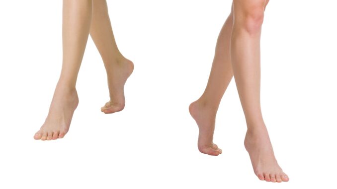 Female legs Female legs